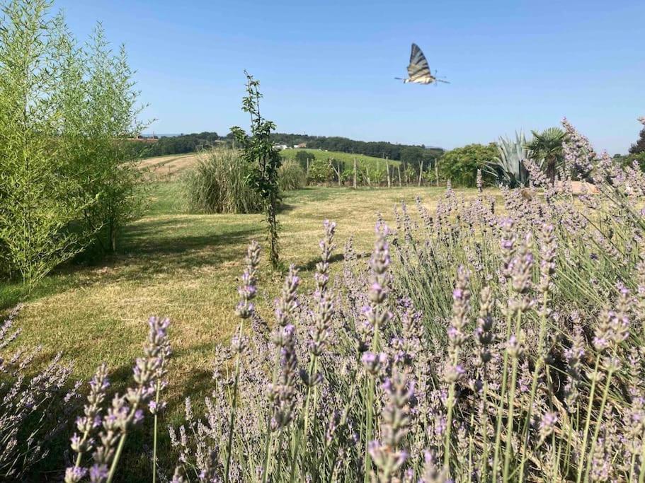 Villa Nardelli Pozzuolo Esterno foto